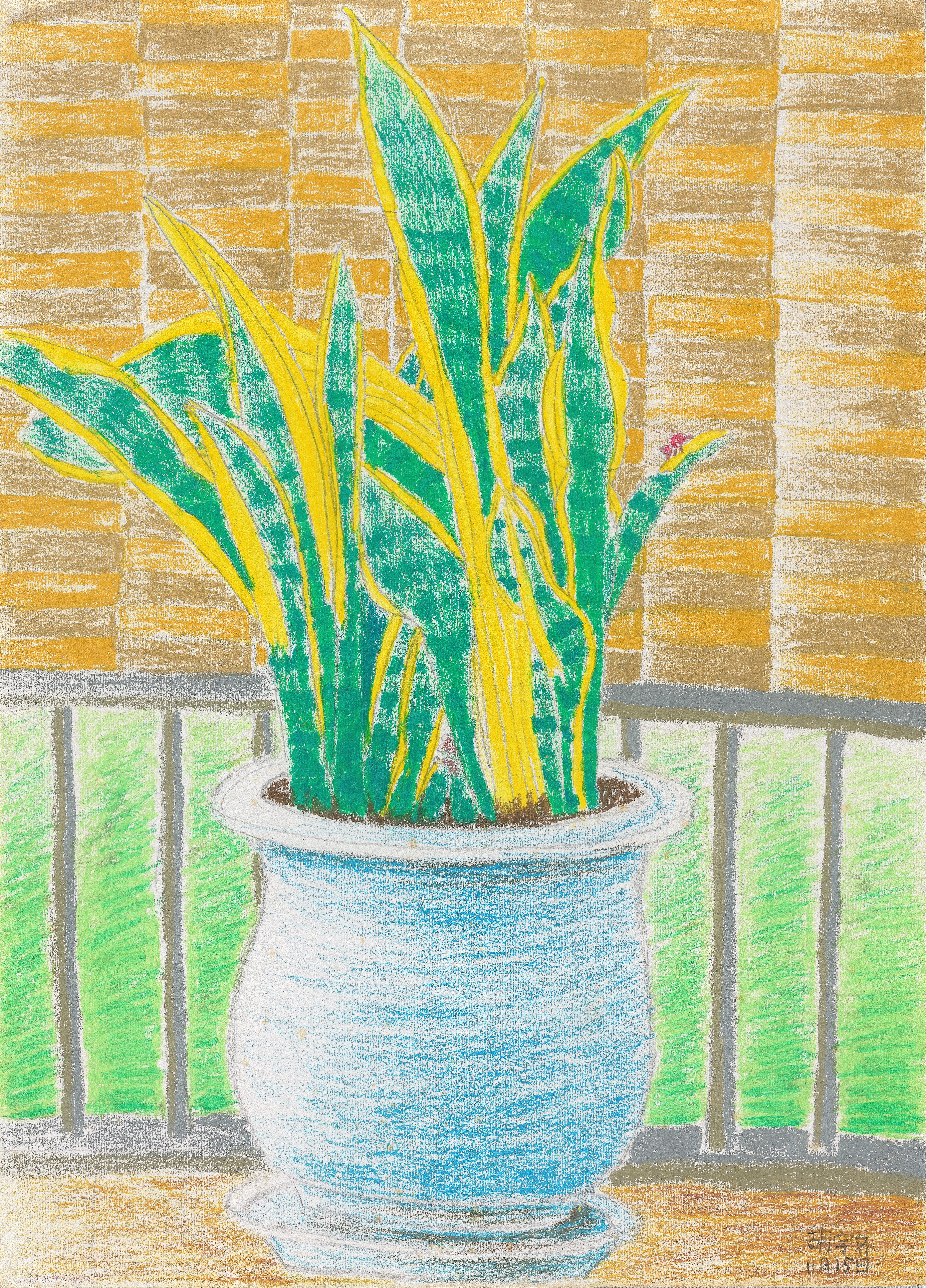 Image 12