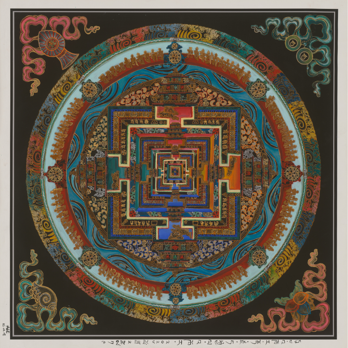 Image 7